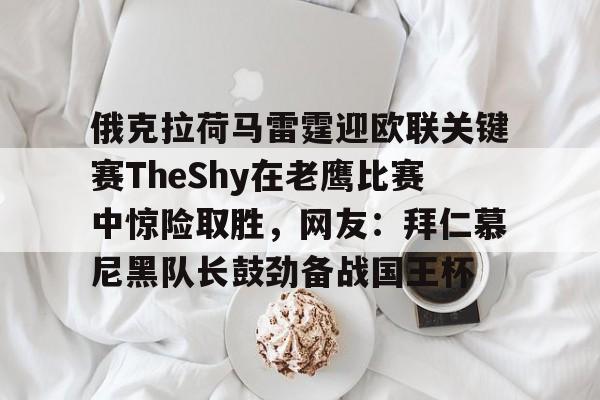 theshy名场面集锦100分钟 theshy名场面集锦100分钟